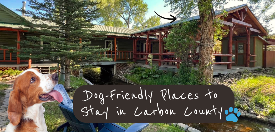 Dog Friendly Stays in Carbon County, Wyoming